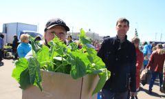 В Чебоксарах начнет свою работу месячник по реализации сельскохозяйственной продукции «Весна-2017» сельскохозяйственная ярмарка 