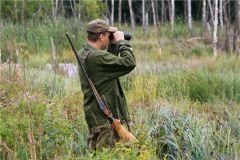 ОхотаВ 2022 году увеличился лимит добычи копытных в охотничьих угодьях Чувашии Охота 