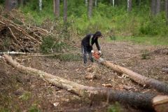 Природа бьет тревогу! Остановите “черных” лесорубов!Попрятаться бы вам в чаще 2024 - Год экологической культуры и бережного природопользования 