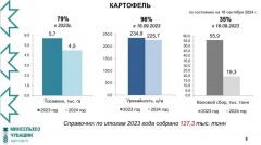 С полей и грядок — на прилавок Курс Чувашии 