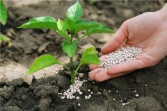 УдобренияАграрии Чувашии приобрели 95% минеральных удобрений от потребности развитие АПК 