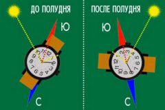 Как пойти в лес и вернуться Среда обитания Школа выживания 