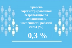 БезработицаУровень регистрируемой безработицы в Чувашии составил 0,3% безработица 