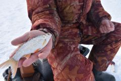 Турнир по подлёдному лову рыбы провели полицейские Чувашии в Чебоксарском районе зимняя рыбалка 