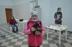 Даша Кутымова (10 лет, из Новочебоксарска) пришла с мамой за щенком, собачку назвали Лордом.Счастье — найти свой дом Бумеранг добра 