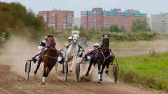 Лошади неудержимы. Фото Вячеслава ЕлочкинаАх вы кони мои, скакуны! конные бега 