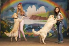 Фристайл-танцы с собаками — излюбленный вид дрессировки у детей.Мария Капкова: Общение с собаками творит чудеса