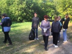 Педагоги, школьники и их родители вышли на уборку Ельниковской рощи Ельниковская роща 