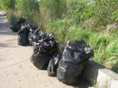 IMG_1302.JPGО роще заботятся капитально уборка мусора Ельниковская роща Всем городом - против мусора 