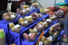 Более 30 сортов картофеля отечественной и зарубежной селекции представили аграрии.Картофельный Манифест легко выращивать Хлеб насущный Картофель-2018 