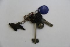 Ключи с дельфином Бюро находок 