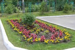 Цветы стежками чувашского узора Лучшая клумба Новочебоксарска-2022 