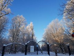 Ельниковская роща зимой прекрасна. Фото Наталии КОЛЫВАНОВОЙПри грамотном руководителе всё хорошо “Грани” в сети 