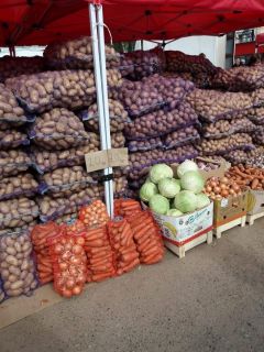 Картофеля хватит всем. Рынок “Новочебоксарский”. Фото городской администрацииВот она, плодоносная осень