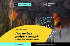 В России проходит марафон против лесных пожаров экология 