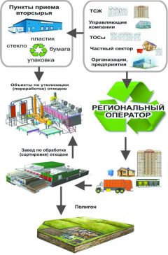 Инфографика с сайта priroda.ruВетер перемен мусор не унес ТКО мусор 