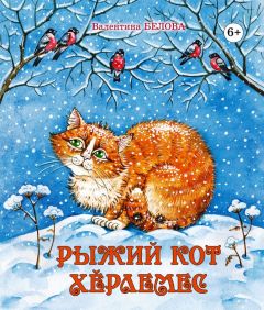 Вышла в свет книга Валентины Беловой «Рыжий кот. Хĕрлемес»Вышла в свет книга Валентины Беловой «Рыжий кот. Хĕрлемес»