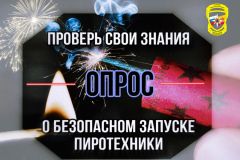 ОпросГКЧС Чувашии предлагает проверить свои знания о мерах безопасного запуска пиротехники ГКЧС 