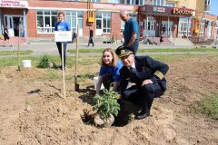 В Чебоксарах посадили Аллею выпускниковВ Чебоксарах посадили Аллею выпускников ЧувГУ им. Ульянова 