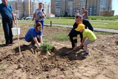  В Чебоксарах посадили Аллею выпускников ЧувГУ им. Ульянова 