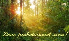 День работников лесаГлава Чувашии поздравил с Днем работников леса Глава Чувашии Олег Николаев 