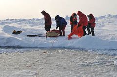 На лыжах — к Северному полюсуМюнхгаузен направляется на полюс Экспедиция на Северный полюс На лыжах — к Северному полюсу барон Мюнхгаузен 