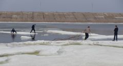 Фото Юрия КаргинаОпасная шалость Фотофакты катание на льдинах 