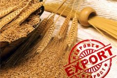 ЭкспортЧувашия превысила прошлогодний годовой экспортный показатель продукции АПК международный экспорт из Чувашии 