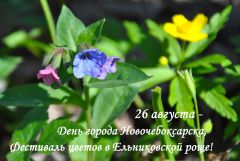  В День города в Ельниковской роще пройдет первый Фестиваль цветов 2017 - Год Ельниковской рощи 