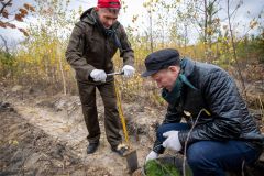 В Заволжье высадили более 10 тысяч деревьев