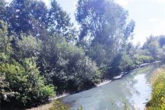 БулаМинприроды Чувашии прокомментировало сообщения о загрязнении реки Булы Минприроды Чувашии 