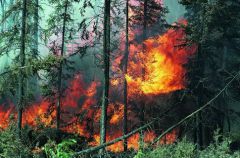В Чувашии сохраняется режим чрезвычайной пожароопасности  ЧП Погода жара 