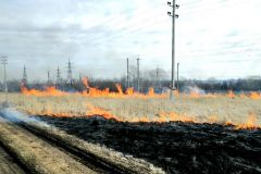 Возгорание сухой травы на территории г. НовочебоксарскЗа поджоги сухой травы в Чувашии оштрафованы 34 человека пал травы 