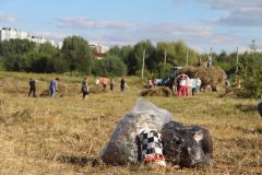 Экологические субботники в Новочебоксарске: набережная преображается на глазах