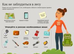 Инфографика с сайта www.gribnik-rossii.ruТихая охота: всем выйти из леса Школа выживания Безопасность 