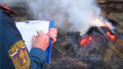 Сжег траву - штраф. Фото: cap.ruС начала 2019 года за сжигание сухой травы в Чувашии оштрафовали 134 человека трава МЧС Чувашии 