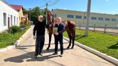 В Новочебоксарске готовятся к проведению Кубка по конному спорту День Республики - 2023 