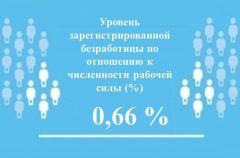 Зарегистрированная безработицаУровень регистрируемой безработицы в Чувашии составил 0,66% безработица 