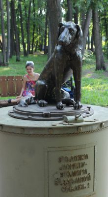 Памятник бездомной собаке в Елабуге.Легенда для Новочебоксарска Тропой туриста Памятники 