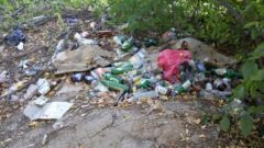  Жители Чувашии чаще сигнализируют о необходимости уборки мусора ЦУР Чувашии 