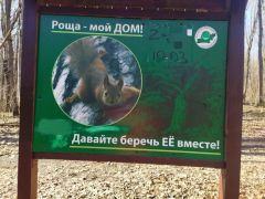 В Ельниковской роще неизвестные разрисовали плакаты