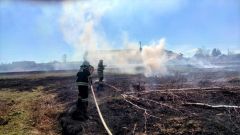 ВозгораниеКоличество палов сухой травы и сжигания мусора на открытой территории в Чувашии за неделю сократилось на 39,1% пал травы 