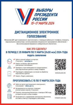 ДЭГВ России начался прием заявок на участие в онлайн-голосовании на выборах Президента РФ выборы президента России 