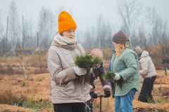  Подарить живой лес вместо букета: жителям Чувашии предложили экологичный подарок на 8 марта ЭКА экология Чувашии 