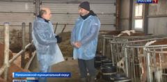 В России лучше: итальянец наладил в Тверской области производство сыра