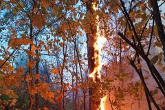 ПожарДва лесных пожара потушили в Чувашии 23 сентября лесной пожар 