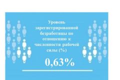 Регистрируемая безработицаУровень регистрируемой безработицы в Чувашии составил 0,63% безработица 