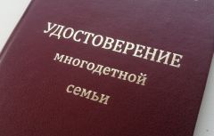 В Чувашии приняли новый порядок выдачи удостоверения многодетной семьи