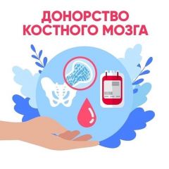 Донорство89 жителей Чувашии подали заявки на вступление в регистр доноров костного мозга почта россии 