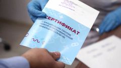 Фото: duma.gov.ru«Единая Россия» обеспечит защиту интересов людей при принятии законопроекта о медицинских сертификатах